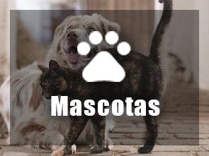 Banner Mascotas